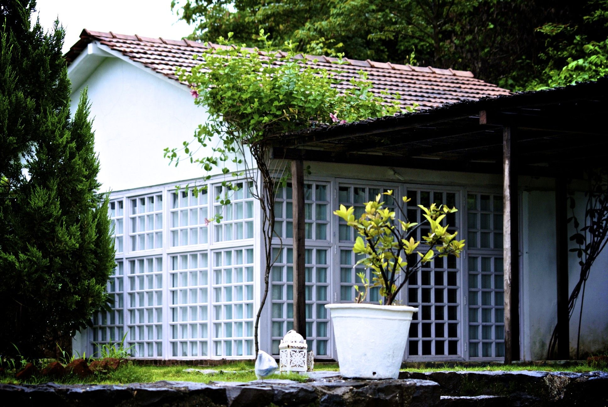 Garden detail